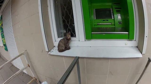 банкомат приват банк взломал кто ? смотреть онлайн