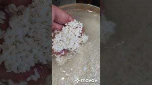 ПРАВИЛЬНЫЙ ПЛОВ