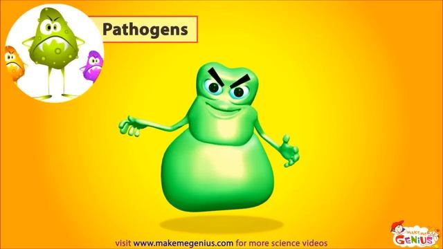 Bacteria For Kids - Animation Video