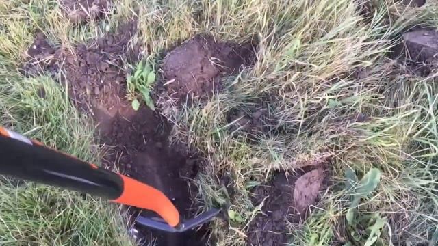 Вечерний коп металла вдоль обочин,Рязанская область смотреть онлайн