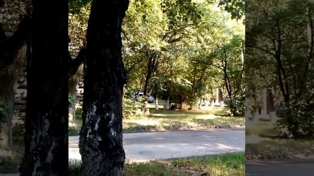 Авангардная смотреть онлайн