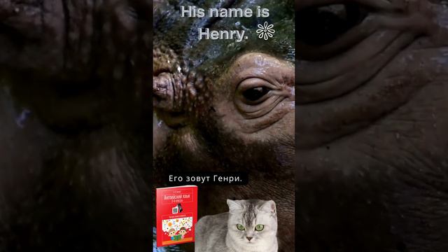 Задание к учебному пособию Ганчар Н.П. Английский язык. 3-4 классы. Читаем легко и весело. H4 #англ смотреть онлайн