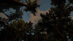 The Forest Pirates Ship