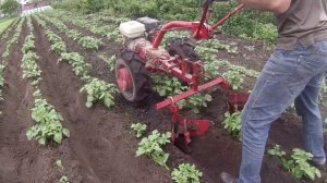 Окучивание Картошки Мотоблоком МТЗ.