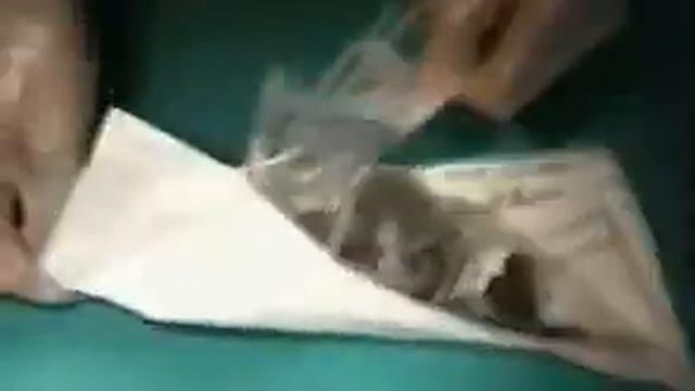 Turbinati CD Prof Fibbi1#0 смотреть онлайн