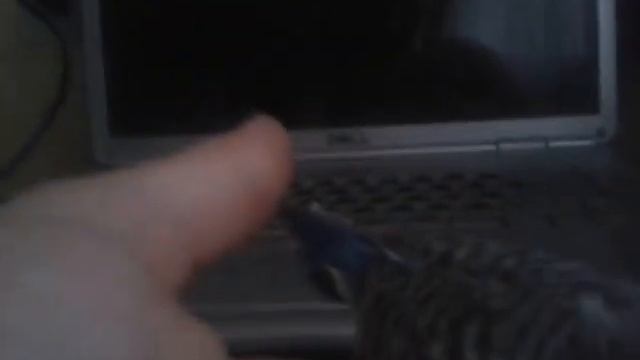 Приручение смотреть онлайн