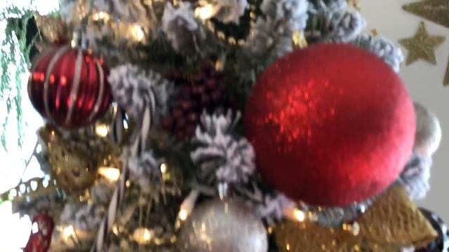 Houseplant Up Date, Happy Thanksgiving!