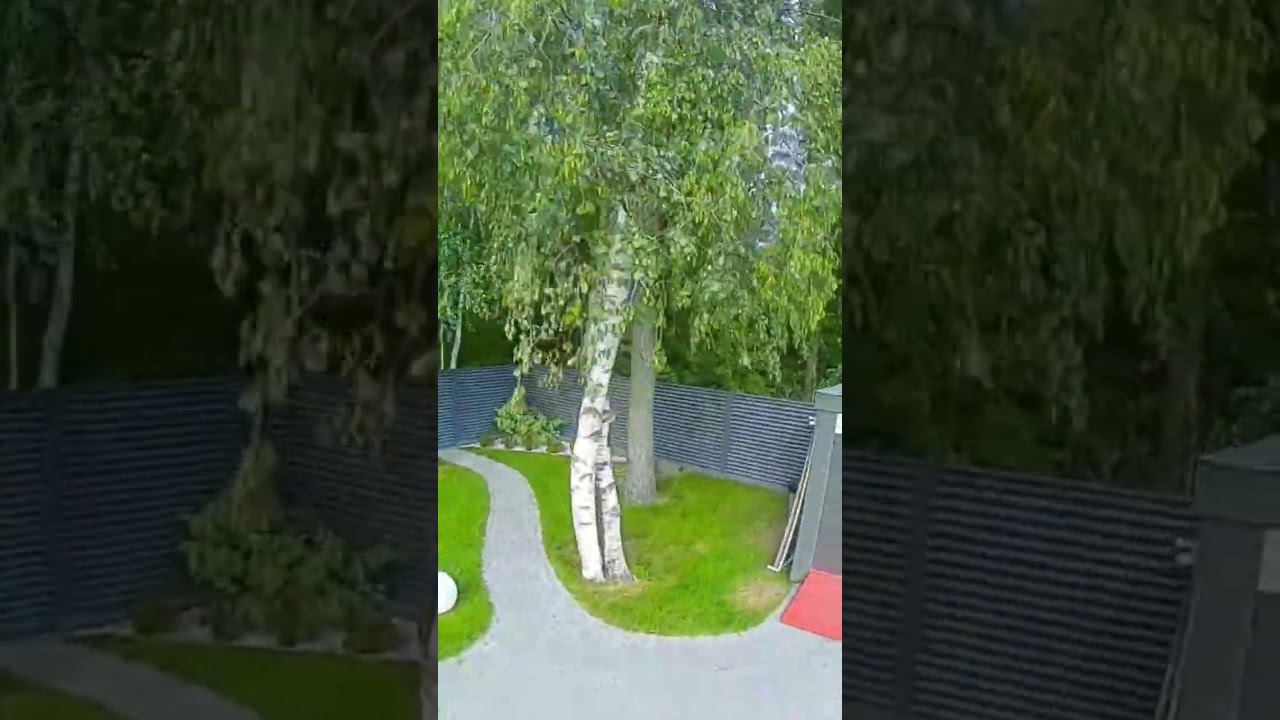 fpv смотреть онлайн
