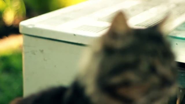 Village Home (дача) - Dnepropetrovsk Oblast