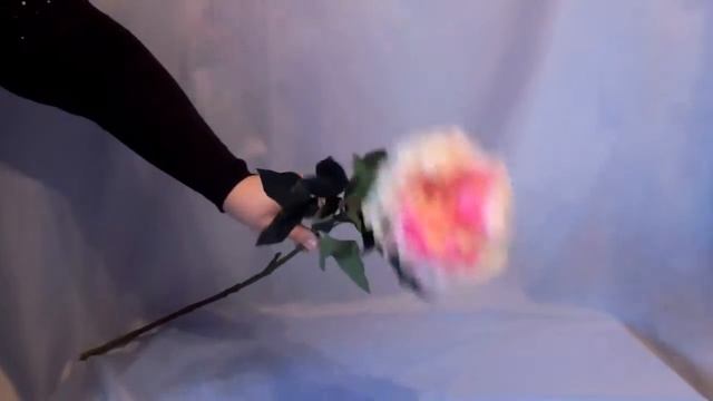 Цветок меняющий цвет смотреть онлайн