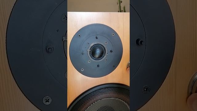 Акустическая система Victor SX-3 III смотреть онлайн