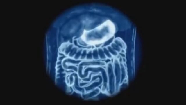 Почему опасно жевать жевательную резинку смотреть онлайн