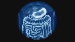 Почему опасно жевать жевательную резинку