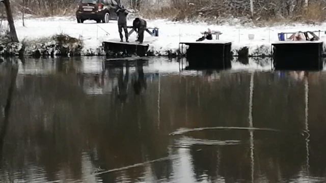 Светлые Горы Форель17 28.10.2023г. смотреть онлайн