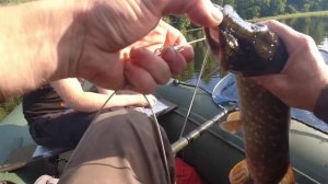 Приманка или Щука НЕ Промахивается?Рыбалка на поппер квокер!