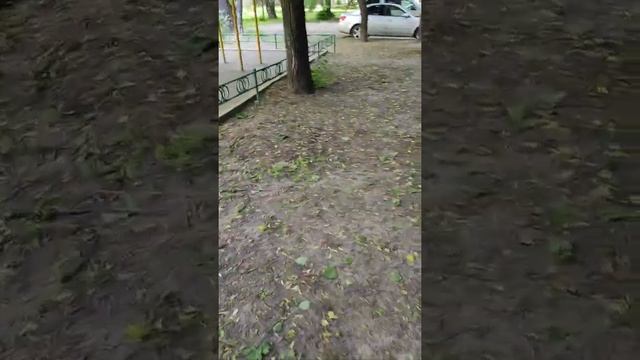 Содержание придомовой территории / г. Москва, Бирюлево Восточное, 07.06.21 смотреть онлайн