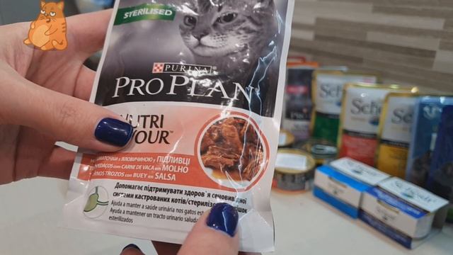 ProPlan для стерилизованных котов обзор и дегустация. КотоБлогер №1. Cat ASMR Eating