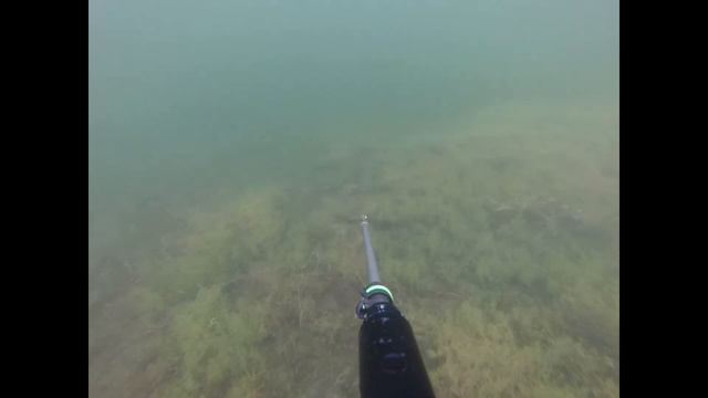 Подводная Охота на карьере смотреть онлайн