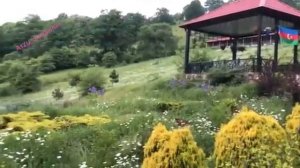 Gedebey Novo İvanovka Asiq Eli Kelbecerli Ferhad Gedebeyli.