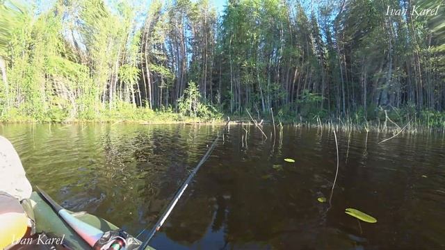 Рыбалка в июне,Самоловки,Окунь,Солнце,Птички,ЧАСТЬ 3 смотреть онлайн