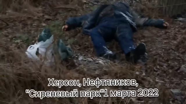 Сиреневый парк по ул Нефтяников в Херсоне, 1 марта 2022 год