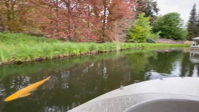 Relaxing Gondoletta Tour In Efteling