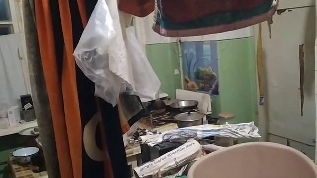 С КОШКОЙ МУРКОЙ ДОМА. ЛОВЛЮ ТАРАКАНОВ смотреть онлайн