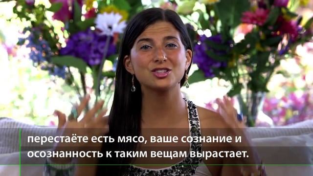 Почему я стала вегетарианкой в 15 лет будучи волонтёром? смотреть онлайн
