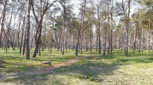 Рыбалка на Кубани. Рыбалка на «Солнечном Острове»