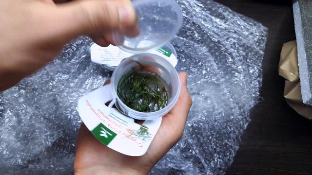 ТАКОГО МНЕ ЕЩЕ НЕ ПРИСЫЛАЛИ... смотреть онлайн