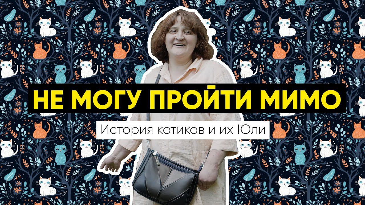 «Не могу пройти мимо!» | История котиков и их Юли смотреть онлайн