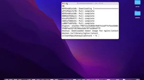 Hosting Static website on the container using nginx web server