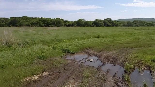 Regulmoto SK250GY-5 (Senke) смотреть онлайн