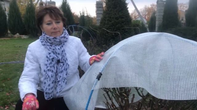 Подготовка Роз к Зиме. Часть 6. Укрытие для роз смотреть онлайн
