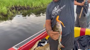 Рыбалка в Томской области