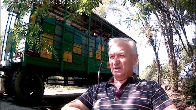 Качаем мёд подсолнуха.Ревизия пчелосемей-количество расплода,пчелы,пыльцы. смотреть онлайн
