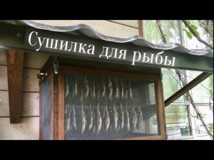 Компактная сушилка для рыбы своими руками.