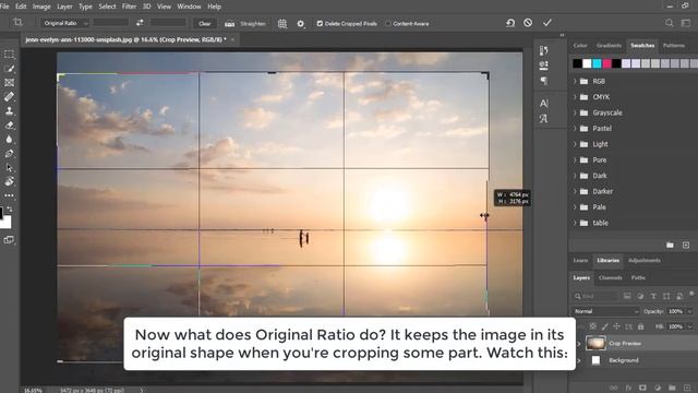 8. Crop Tool - Adobe Photoshop for Absolute Beginners | Tutorial смотреть онлайн