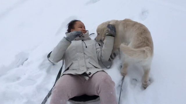 Золотистый Ретривер | ВЛОГ с 3.5 до 5 месяцев | Щенок Голден Ретривера смотреть онлайн