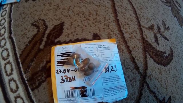 Семена Мадагаскарской Пальмы с Алиэкспресс смотреть онлайн