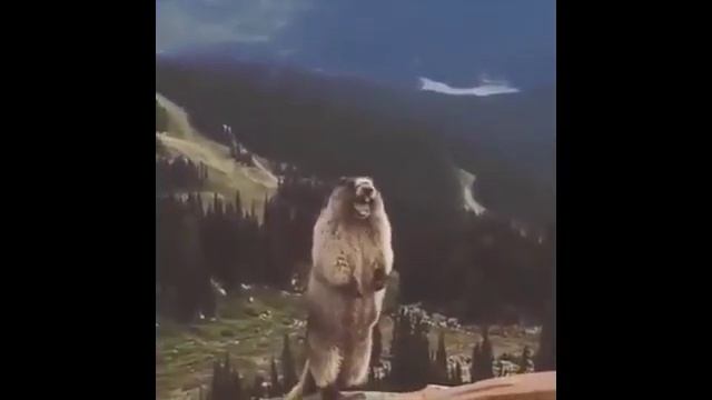 Aegis X by Geek Vape Unboxing | Joe Vlog смотреть онлайн