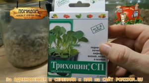 Прежде чем ПОКУПАТЬ ТРИХОДЕРМУ! Посмотри Мой РЕЙТИНГ биопрепаратов! ТЕСТ! Какую триходерму купить?