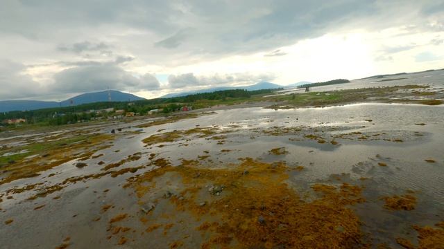 Чуть квадрокоптер не отобрали