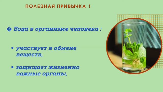 Привычка красоты 1 - Пейте воду смотреть онлайн