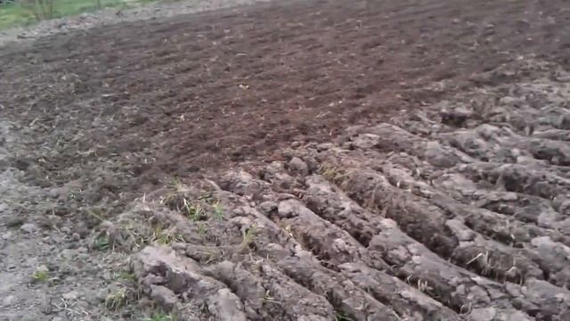 Разработка земли Мотоблоком Агро. смотреть онлайн