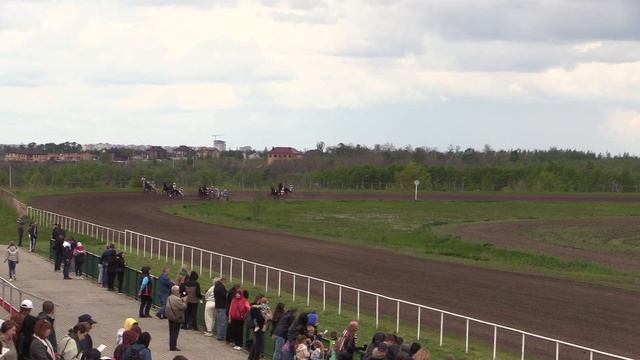 03 заезд Весенний приз для жер орп старш возр 15.05.2022 Воронежский ипподром MVI 0272 смотреть онлайн