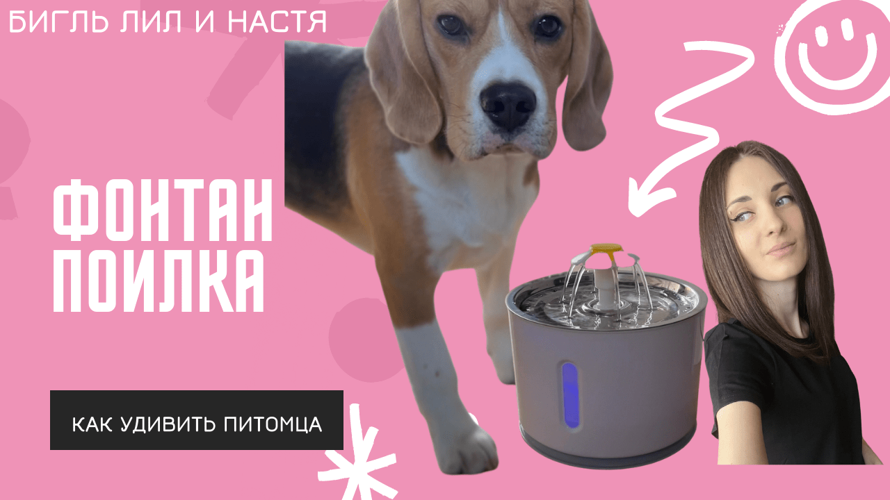 Фонтан-поилка для кошек и собак! смотреть онлайн
