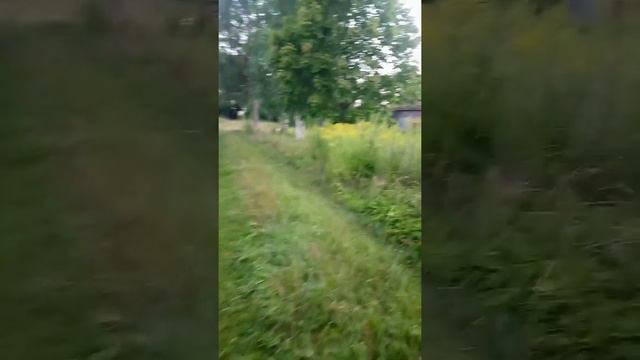 церковь казанской иконы Божей матери смотреть онлайн