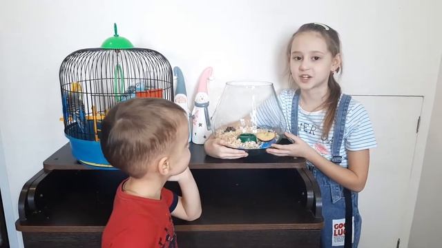 ? Покупаю ХОМЯКА ? Мой НОВЫЙ ПИТОМЕЦ - Джунгарский хомяк ? смотреть онлайн
