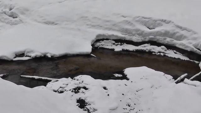 Пелец для рыбалки. Зимний тест смотреть онлайн